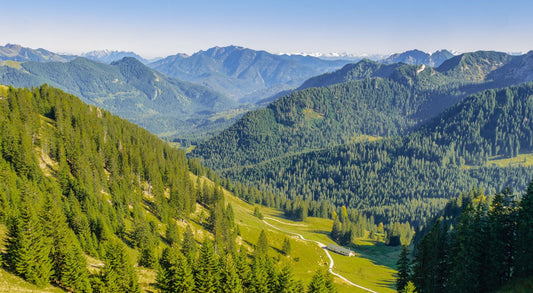 10 positive habits to boost your mental health