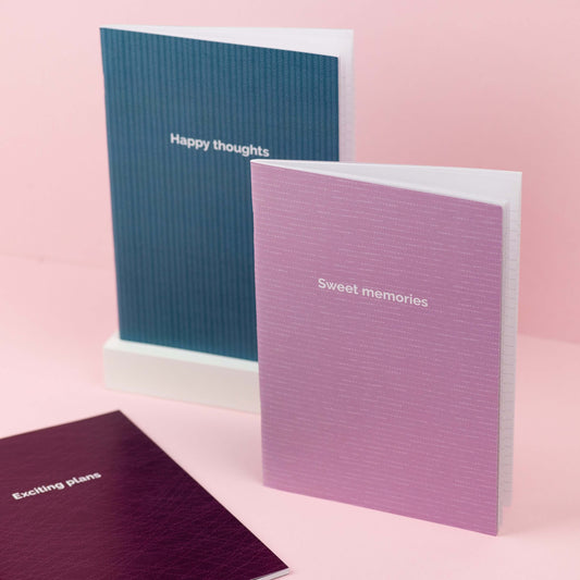 Bundle of 3 notebooks